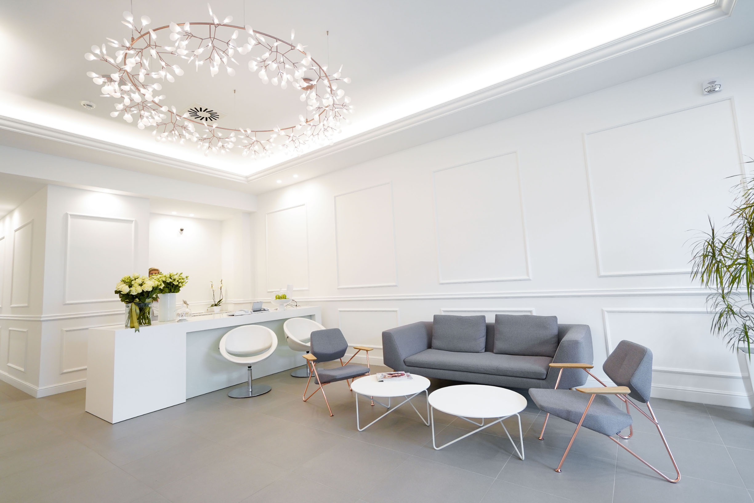 Dermatologija Nola 1