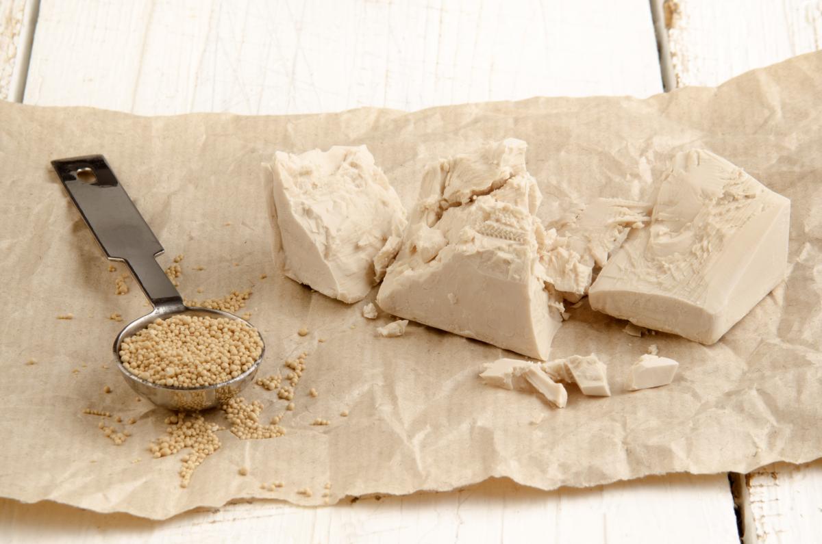 Kvasac je jedan od najbogatijih izvora vitamina B-kompleksa!