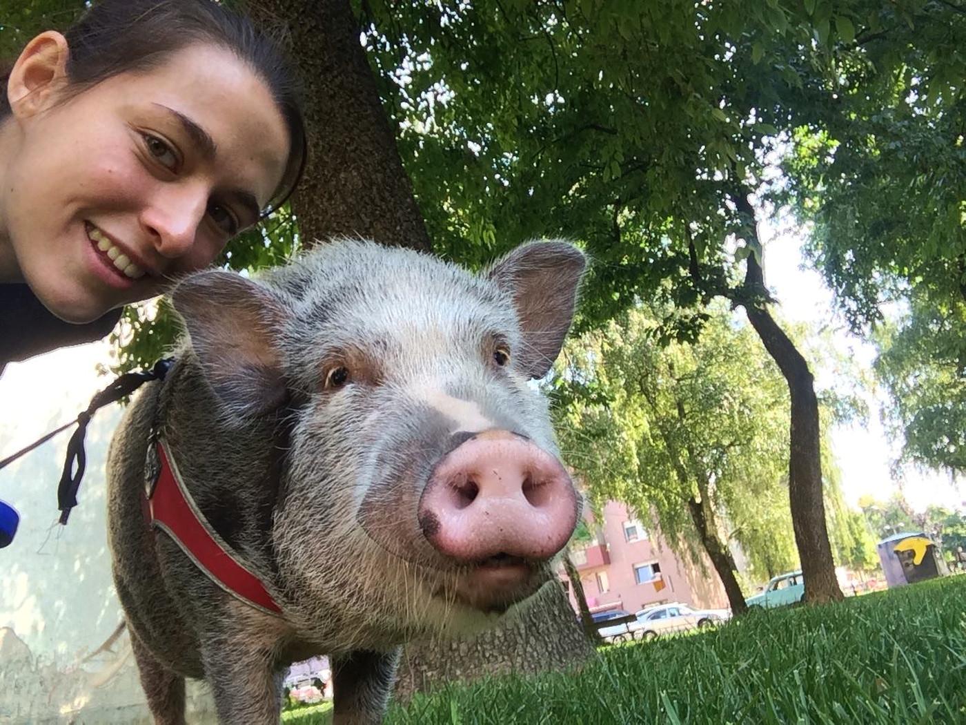 Ovakvog simpatičnog kućnog ljubimca doista ne viđamo često! :)