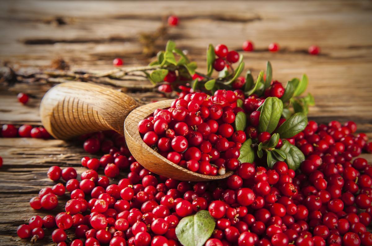 Pored  antibakterijskih, brusnica ima i protugljivična svojstva!