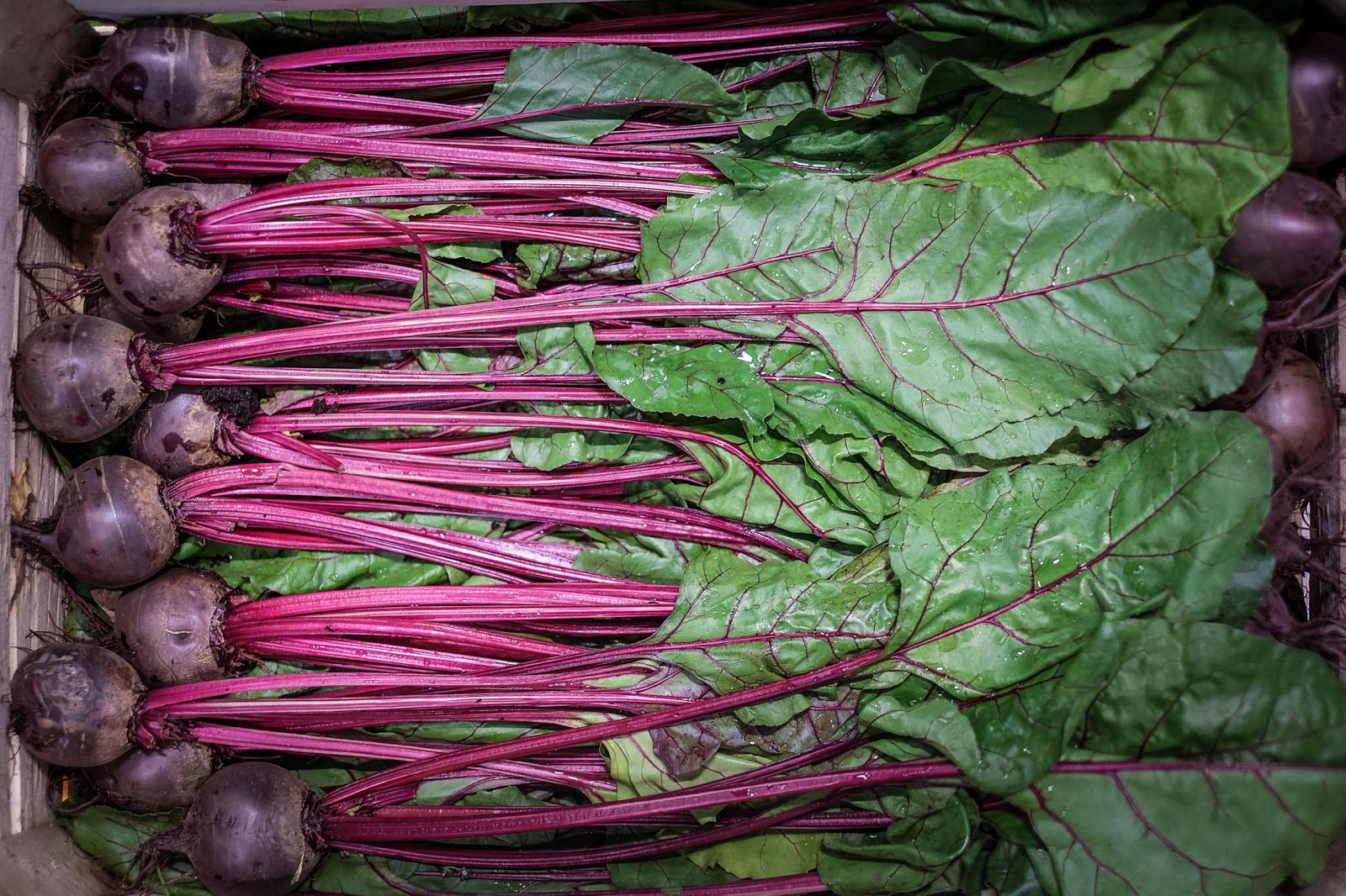 4a14ff15-8c6d-4b50-9f03-495dba5cea5a.bin