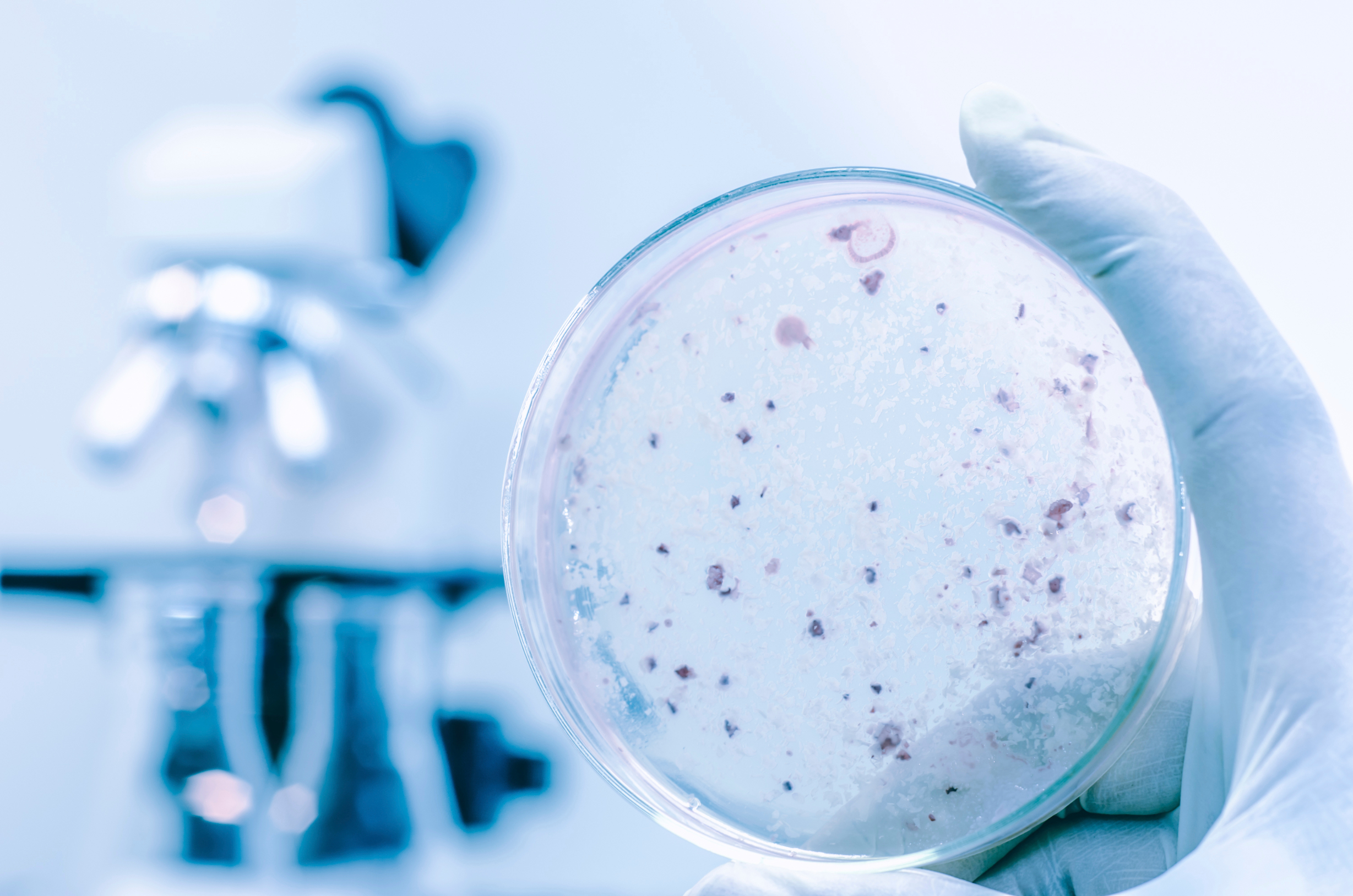 Osim što je cijenom pristupačan, mali mikroskop dobro očitava rezultate