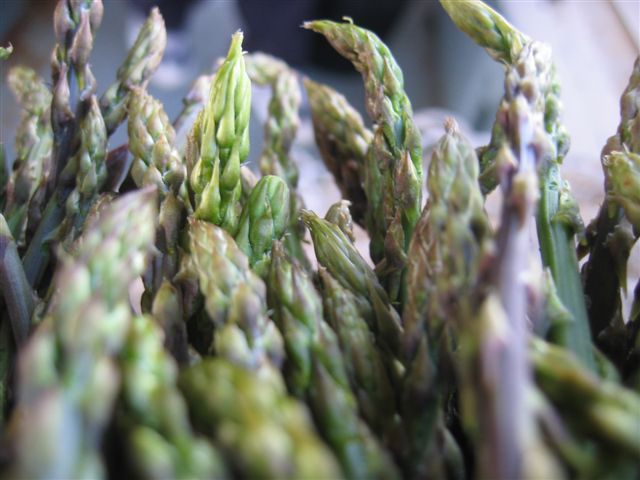 5c5e3868-c240-44cb-ac2e-7e844748c531.bin