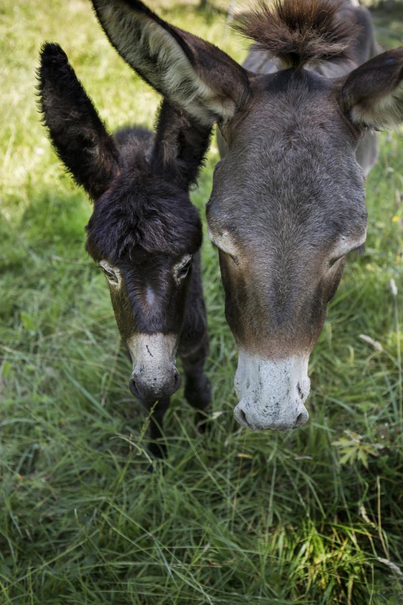 66cd0c5f-f4b8-41b0-8286-04b4c9778ff9.bin