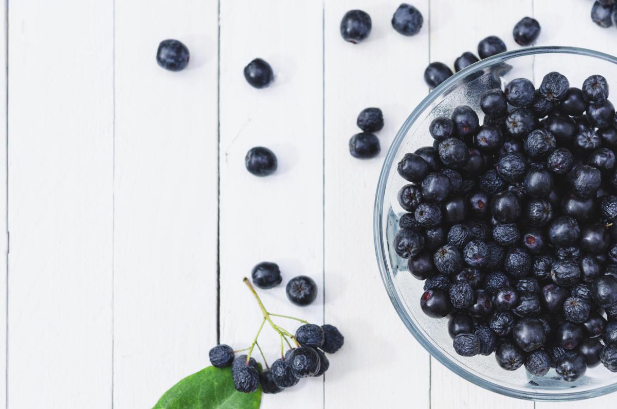 Jeste li znali? Aronija efikasno pročišćava organizam od štetnih tvari i teških metala