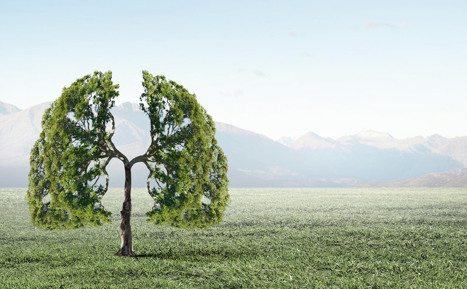 77a0bce1-c604-4f57-9192-986d3e978b10.bin