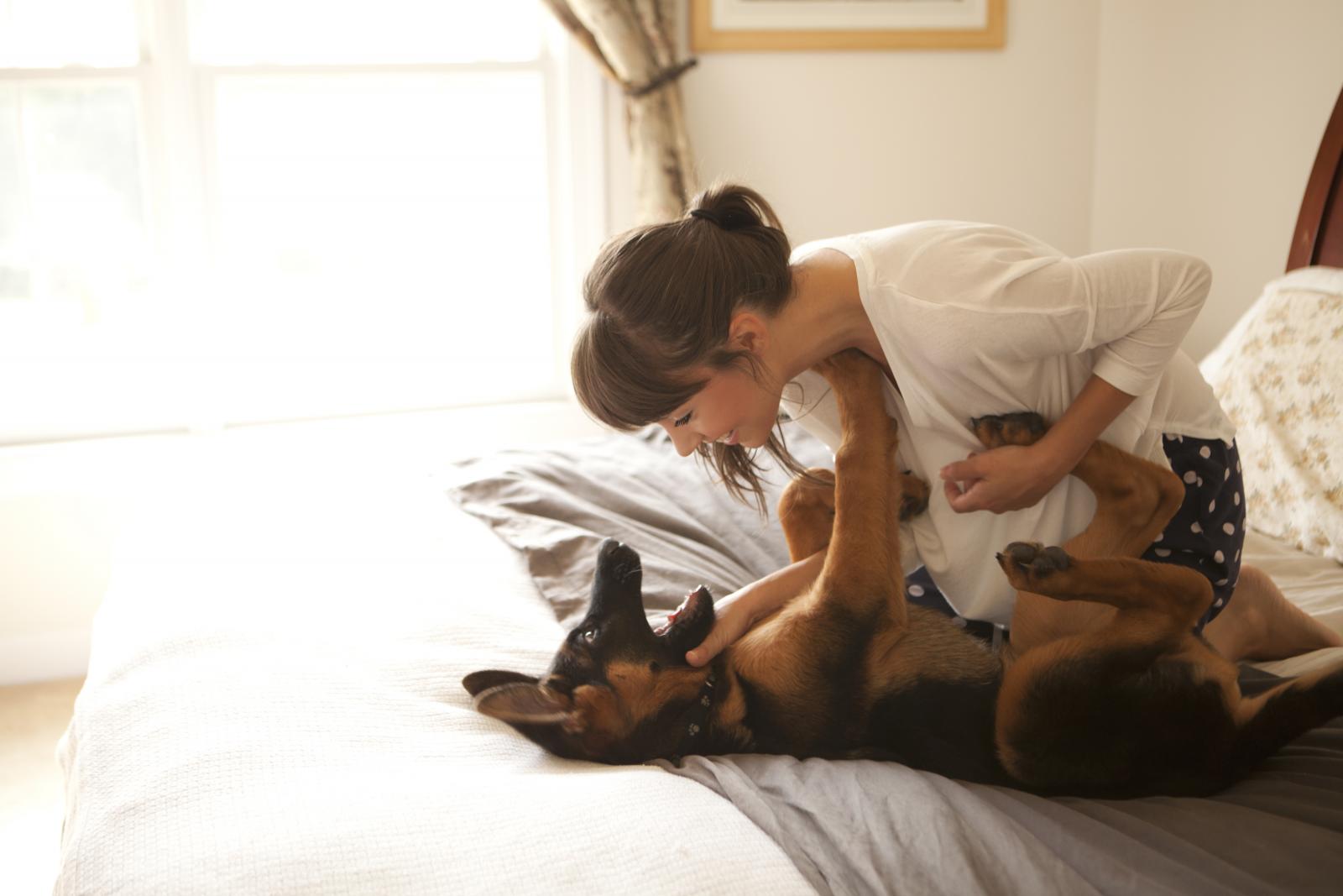 Uvuče li vam se štene u krevet i to postane njegova rutina, teško ćete mu kasnije dokazati da mu tamo nije mjesto...