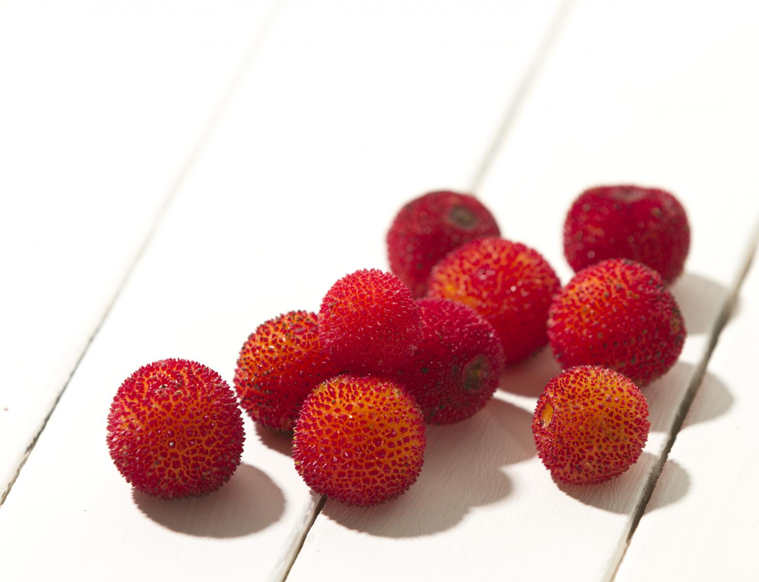 8a9371d0-7ee3-47c6-9f31-bd58e73b338d.bin