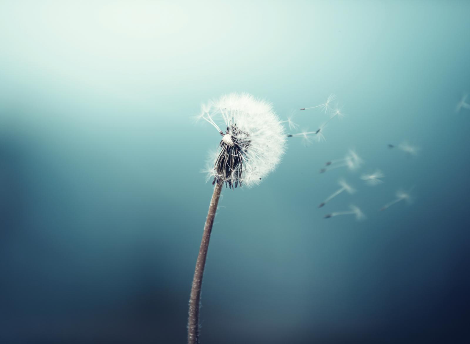 Želja, po želja i vaš osmijeh će biti iskreniji, a život ljepši...