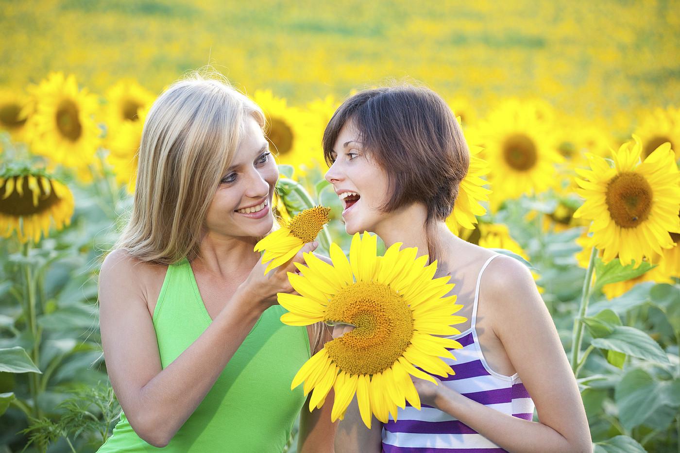 Sjemenke suncokreta možete grickati bilo kada, bilo gdje!