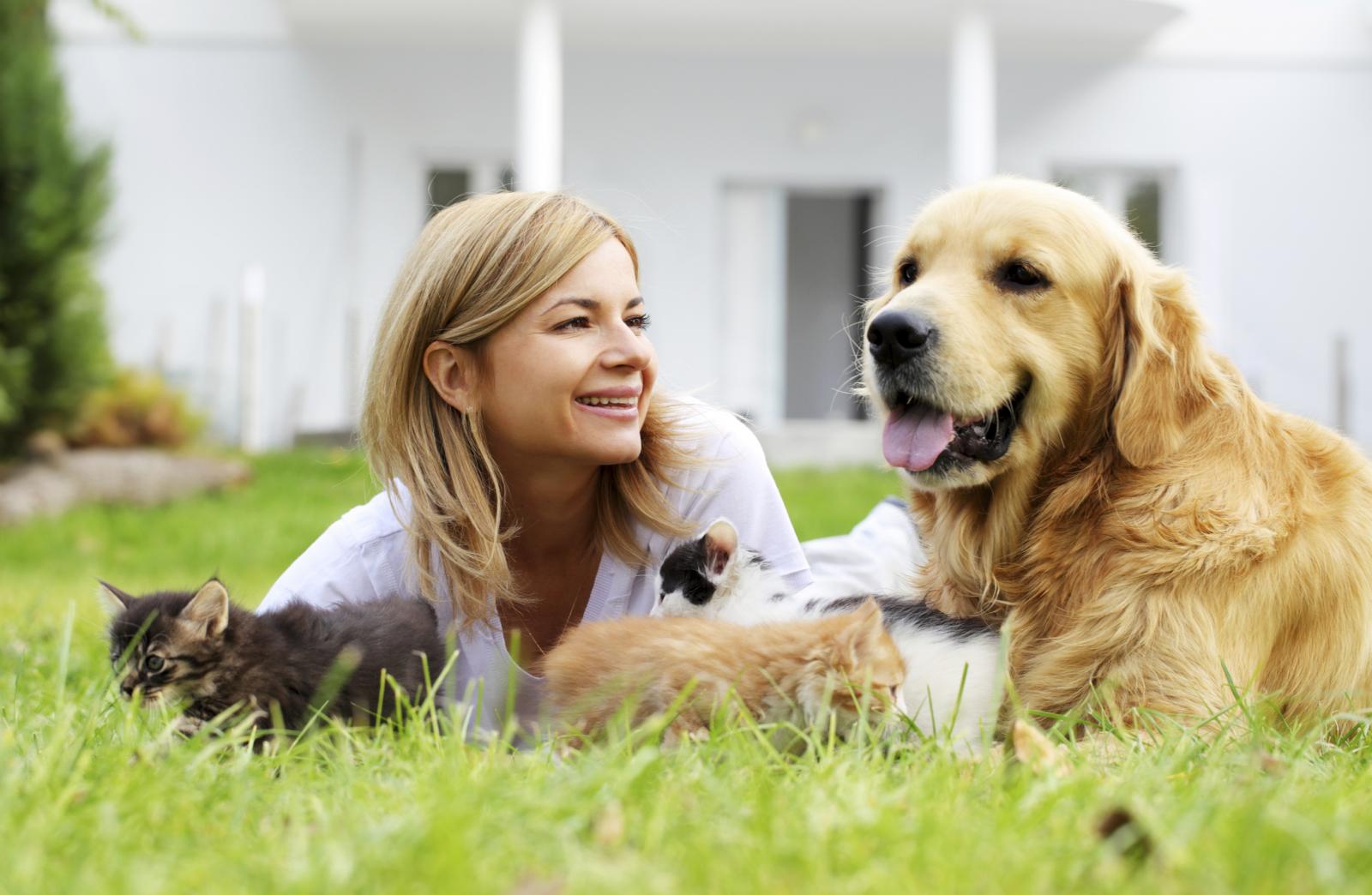 Koga god odaberete, ljubimac će vam donijeti novu energiju i pregršt veselja u dom.
