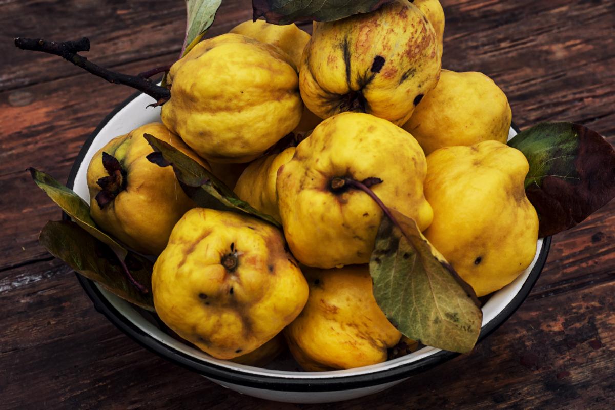 Jeste li znali? Osim što je zahvalna kao namirnica, dunju jako cijene i u kozmetičkoj industriji!