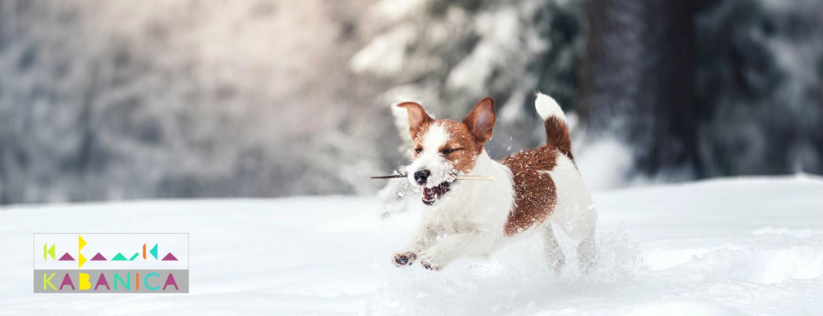 0a3abd64-96ee-4977-b977-5e7399756bd0.bin