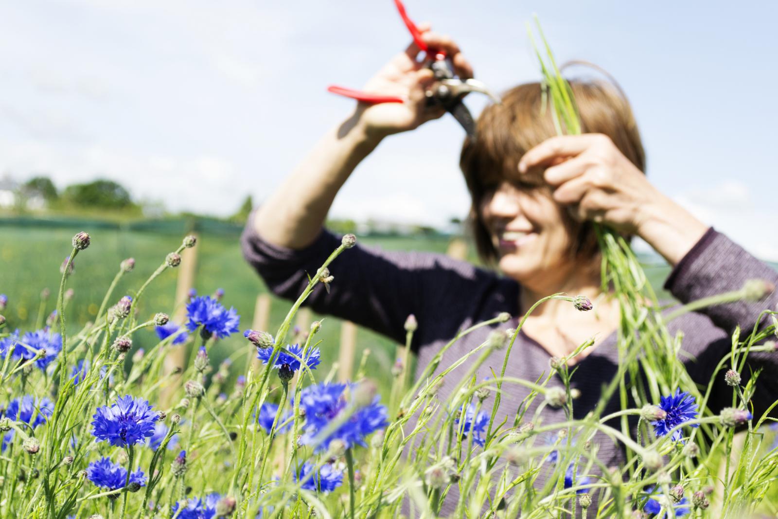 Najbolje je ono ulje crnog kima koje se dobiva hladnim prešanjem.