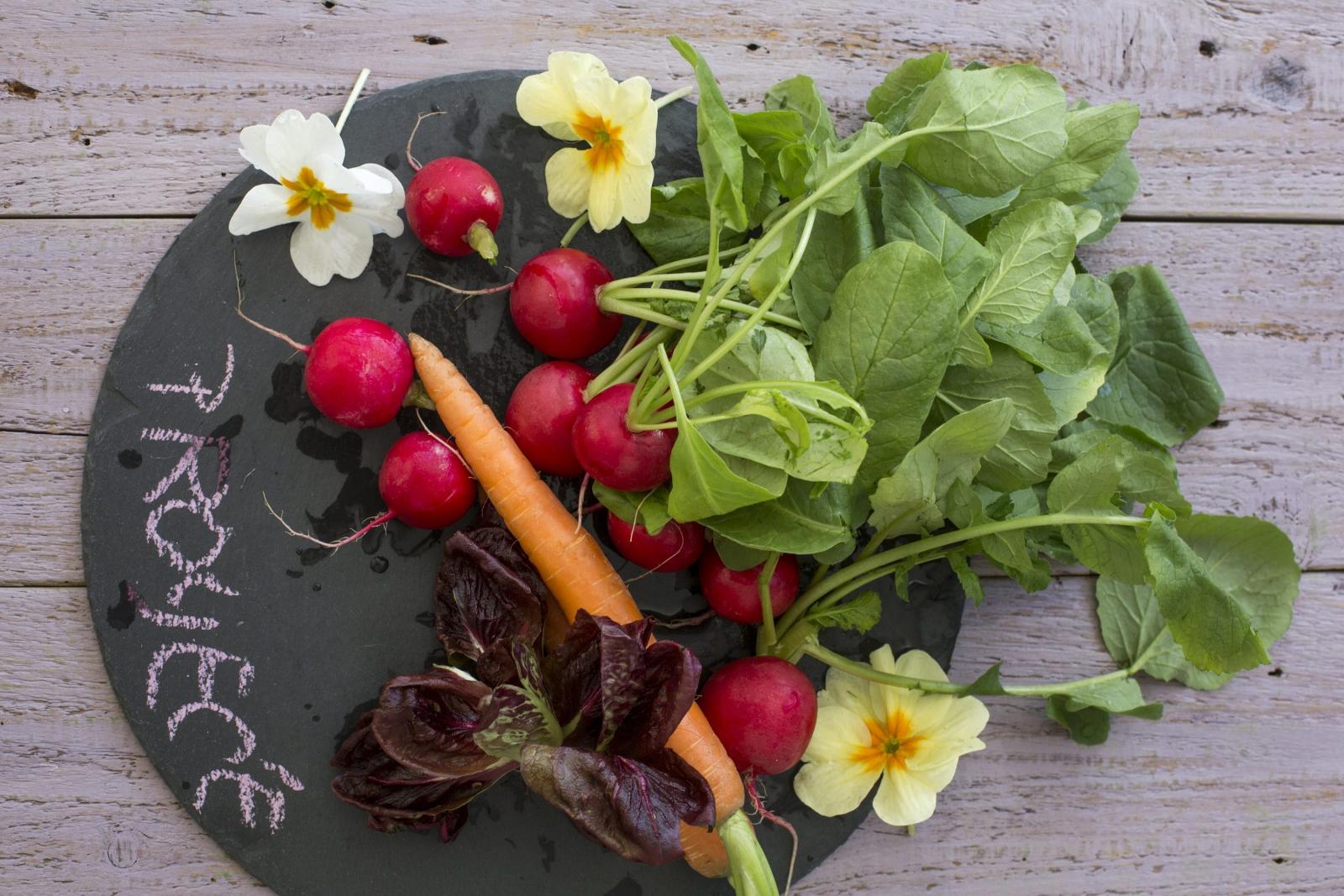 Rotkvice uopće ne treba začinjavati, a dobro se slažu uz  svaki obrok, praktično  ih je ponijeti na  posao ili u školu  kao dodatak  užini.