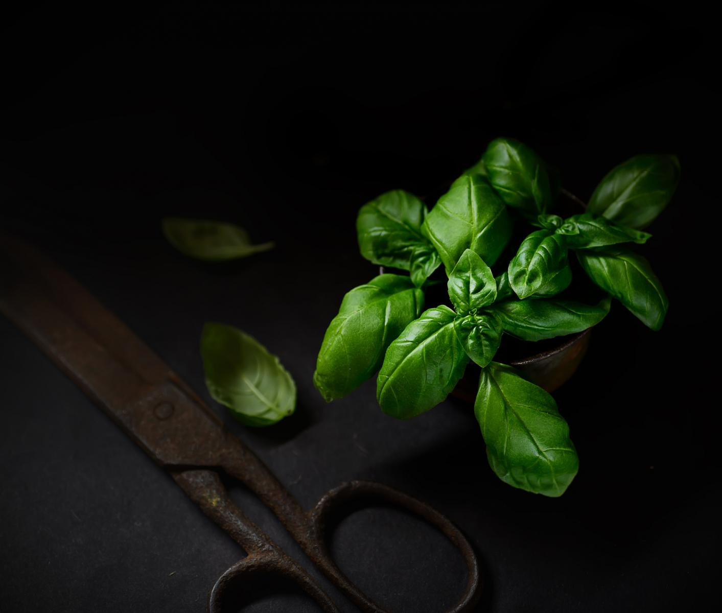 Ovaj začin bogat je specifičnim polifenolima čiji su potencijal zapazili i stručnjaci iz kozmetičke industrije.