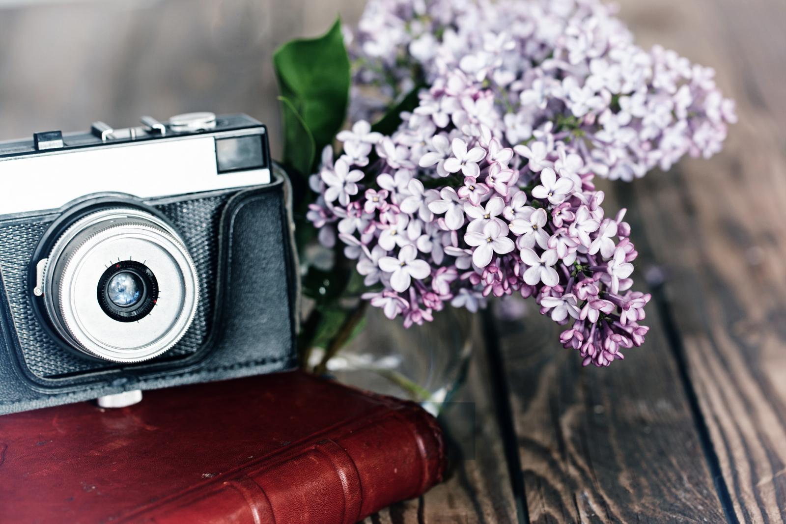 Ako volite jorgovan i njegov omiris, vi ste osoba koja uživa u romantičnoj odjeći i voli antikvitete.