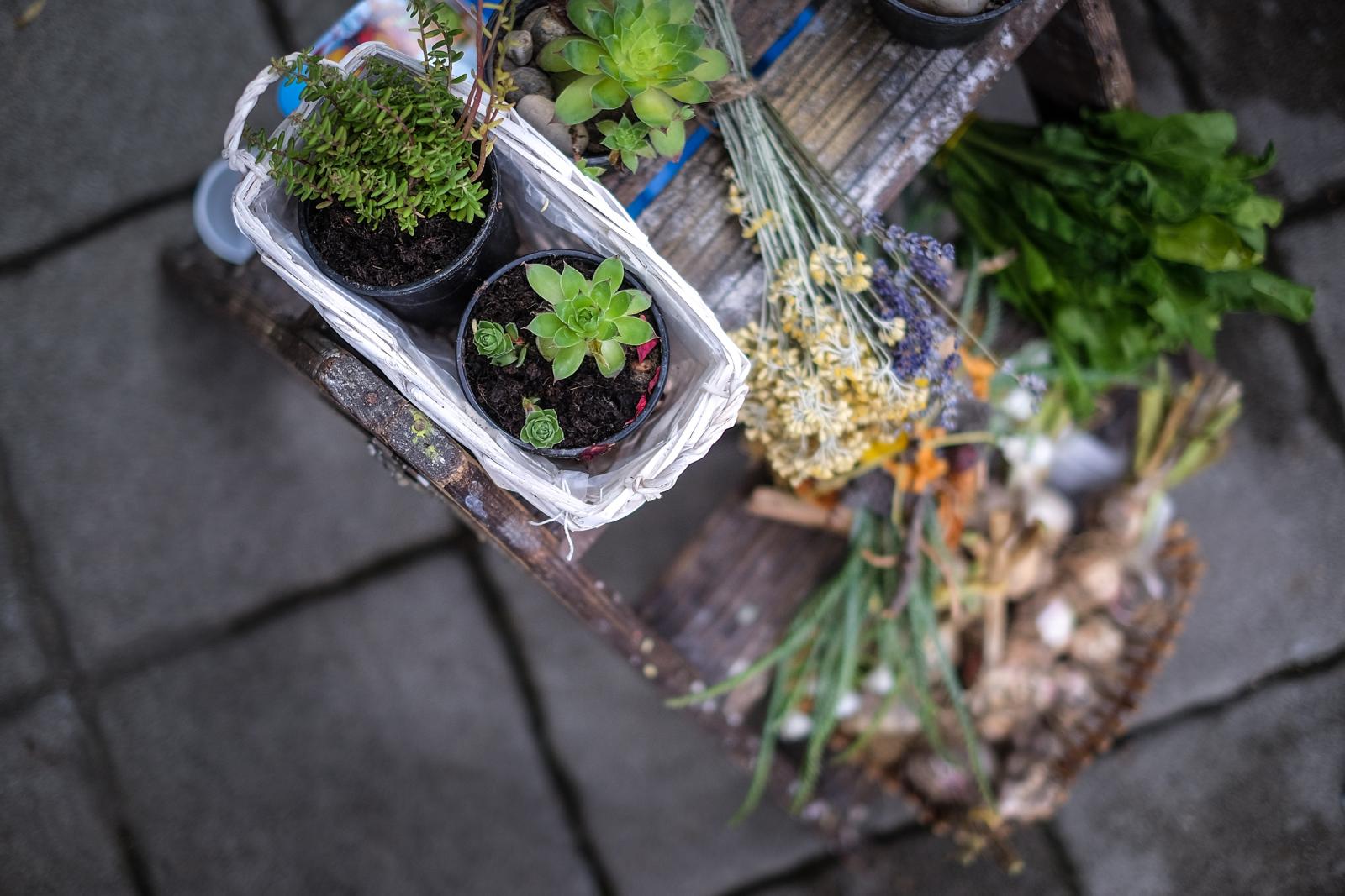 a171dc5f-cbed-4622-b2b8-31da9178d9cf.bin