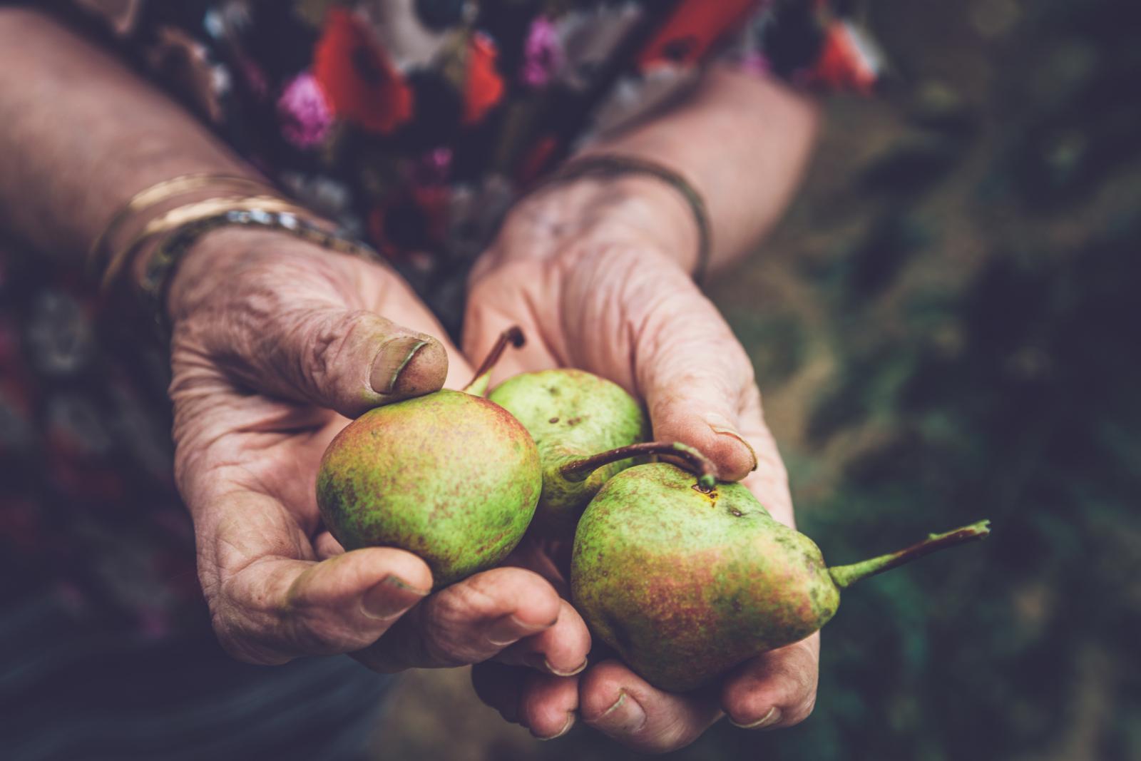 Osim što je ukusna, kruška je i jako zdrava.