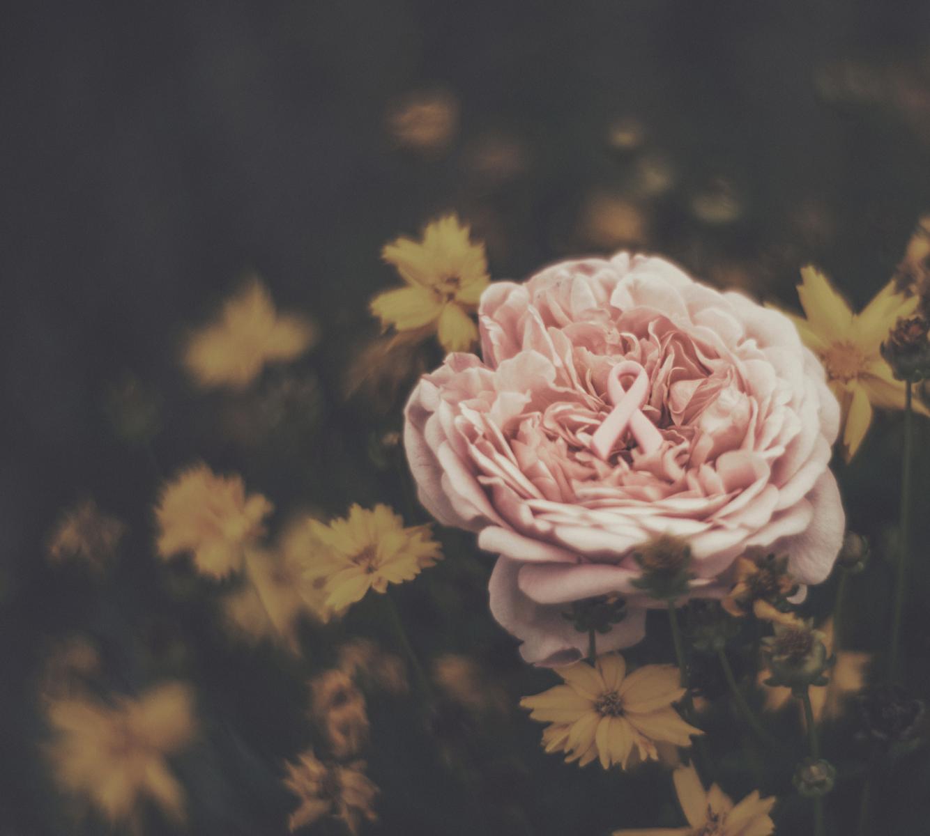 Tko bi propustio taj spektakl na Cvjetnom?