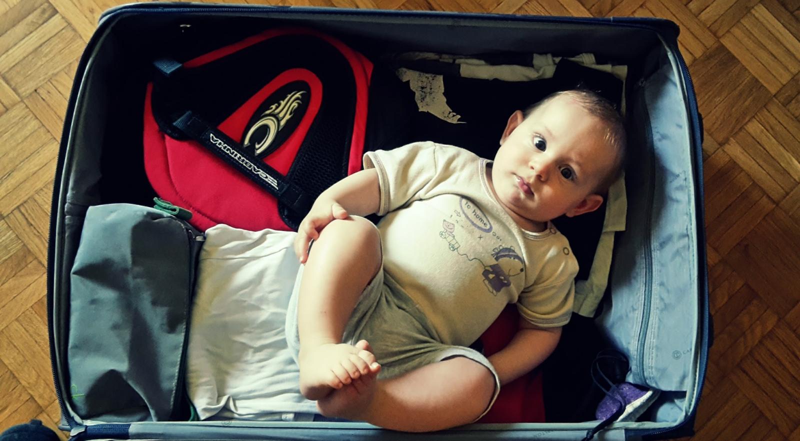 Nevjerojatno je da tako malo stvorenje posjeduje i treba tako puno stvari. 