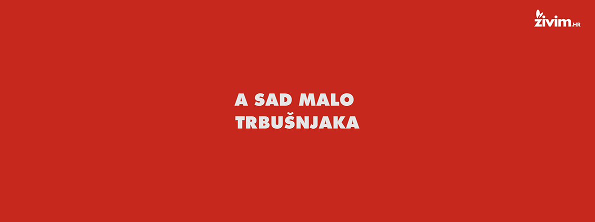 f270a6d6-57ea-44a4-9087-a4891717280d.bin