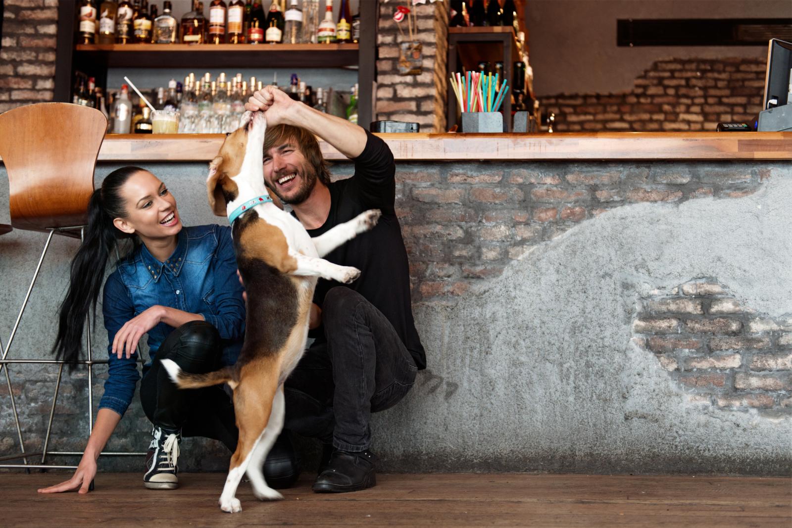 Timijan, origano i kurkuma samo su neki od začina koji će ih zaštititi.