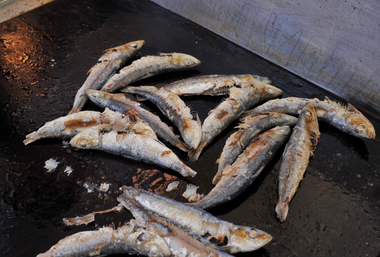 f96cfecf-7390-4d28-a036-fc787eb8938f.bin