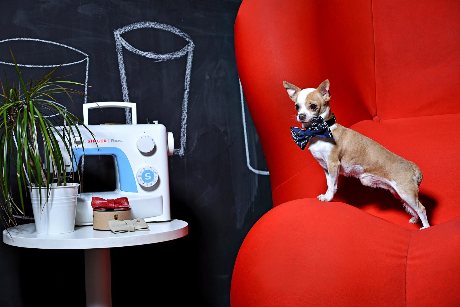 Ma tko bi mu mogao odoljeti?