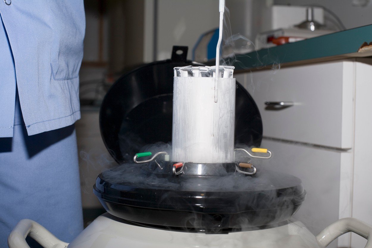 Zamrznuti embriji mogu se čuvati godinama