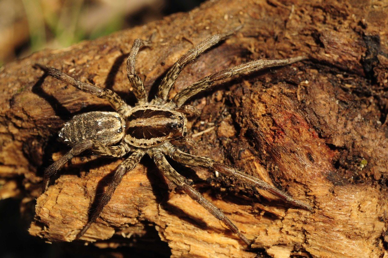 profimedia-0139791429