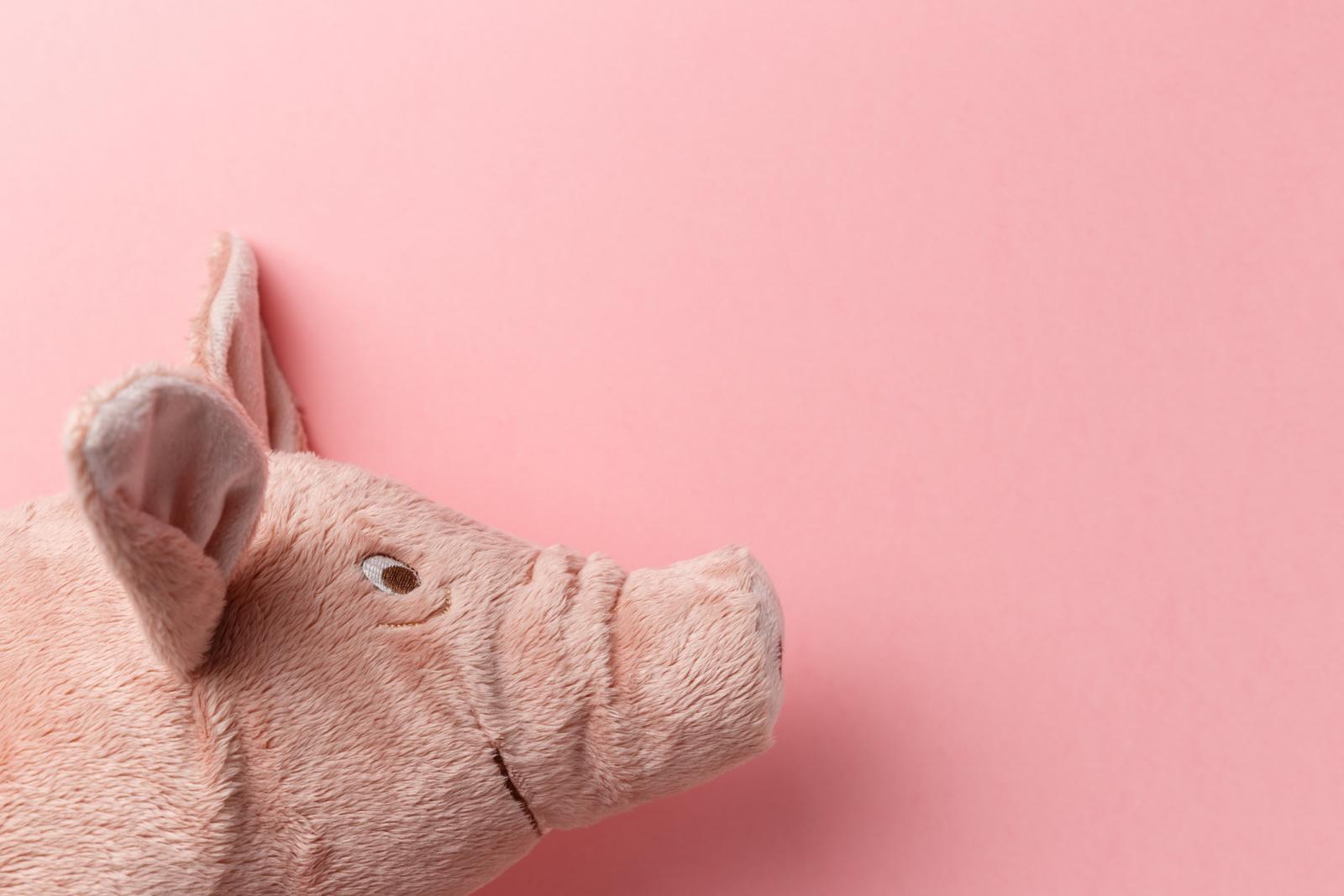 Zemljana svinja povezuje se s napretkom, boljim financijama, srećom i dobrim mogućnostima za uspjeh. 