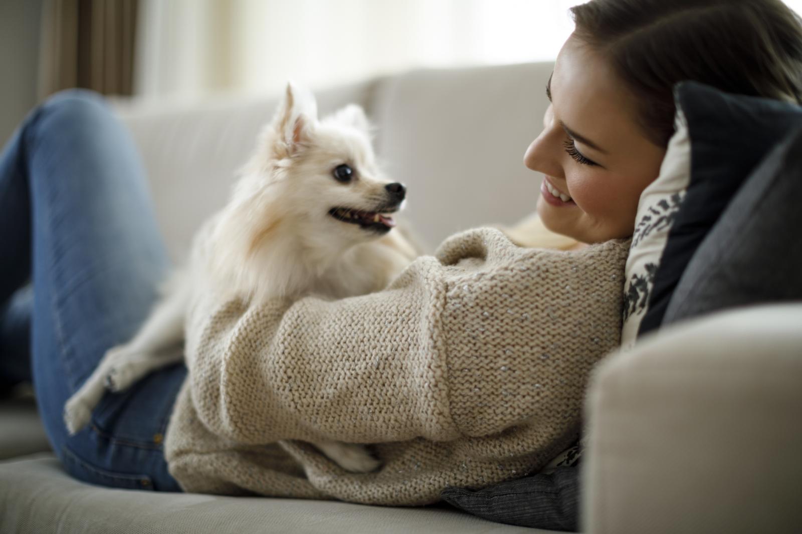 Psi smanjuju stres i tjeskobu, pomažu u otpuštanju oksicitina koji snižava tlak i razine kortizola, hormona stresa.