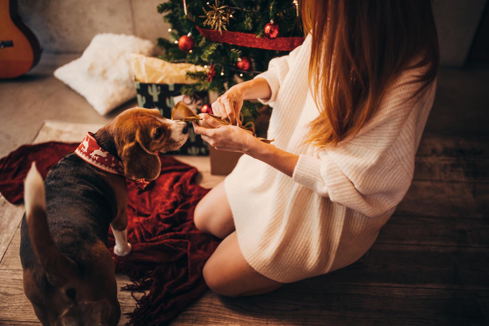 Ovo je Božićno doba kao stvoreno da si, osim poklona ukrašenim mašnicama, poklanjamo i male dragocjene trenutke koji nas čine sretnima.