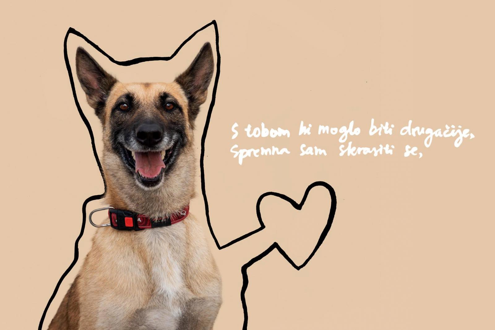 2a431fb0-9203-4a38-9f18-96eedf738e4d.bin