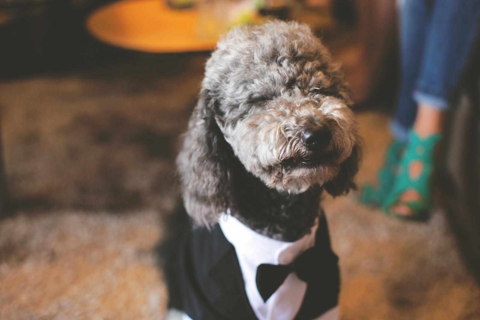 Tko je najveća faca u gradu!? Ha?