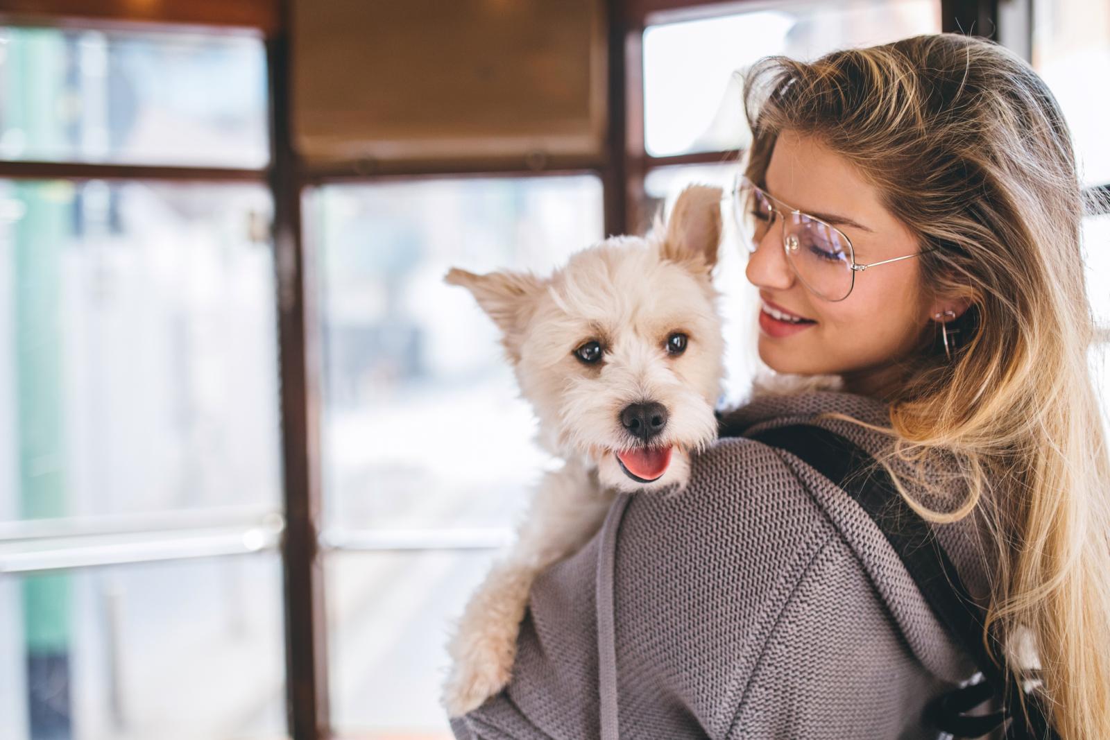 Važno je upamtiti da psi s osteoartritisom često prikrivaju bol pred vlasnikom. Instinktivno skrivaju bol jer je to njihov obrambeni mehanizam.
