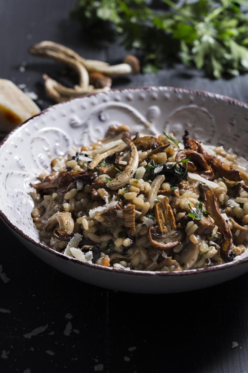 76684e0f-9a3e-4189-94c0-032ce7d96ea8.bin