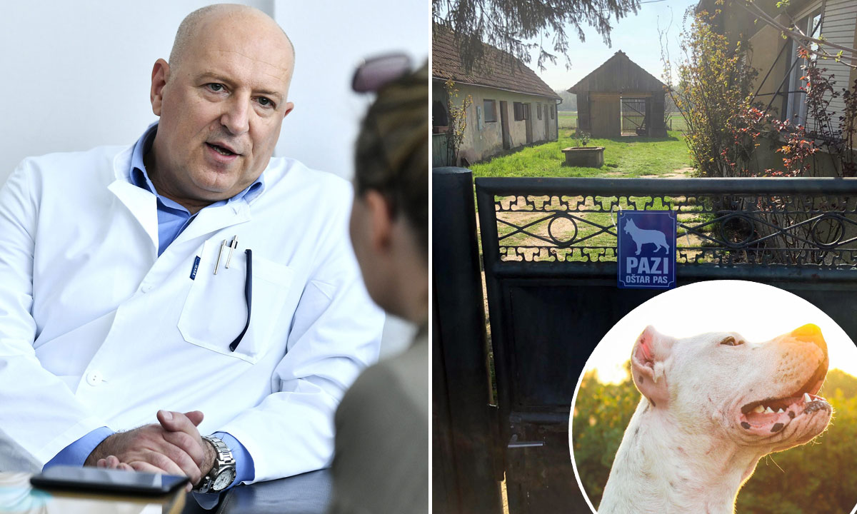 Goran Roić (lijevo), ulaz u dvorište kuće u kojoj je pas napao dijete (desno), argentinska doga (dolje desno, ilustracija)