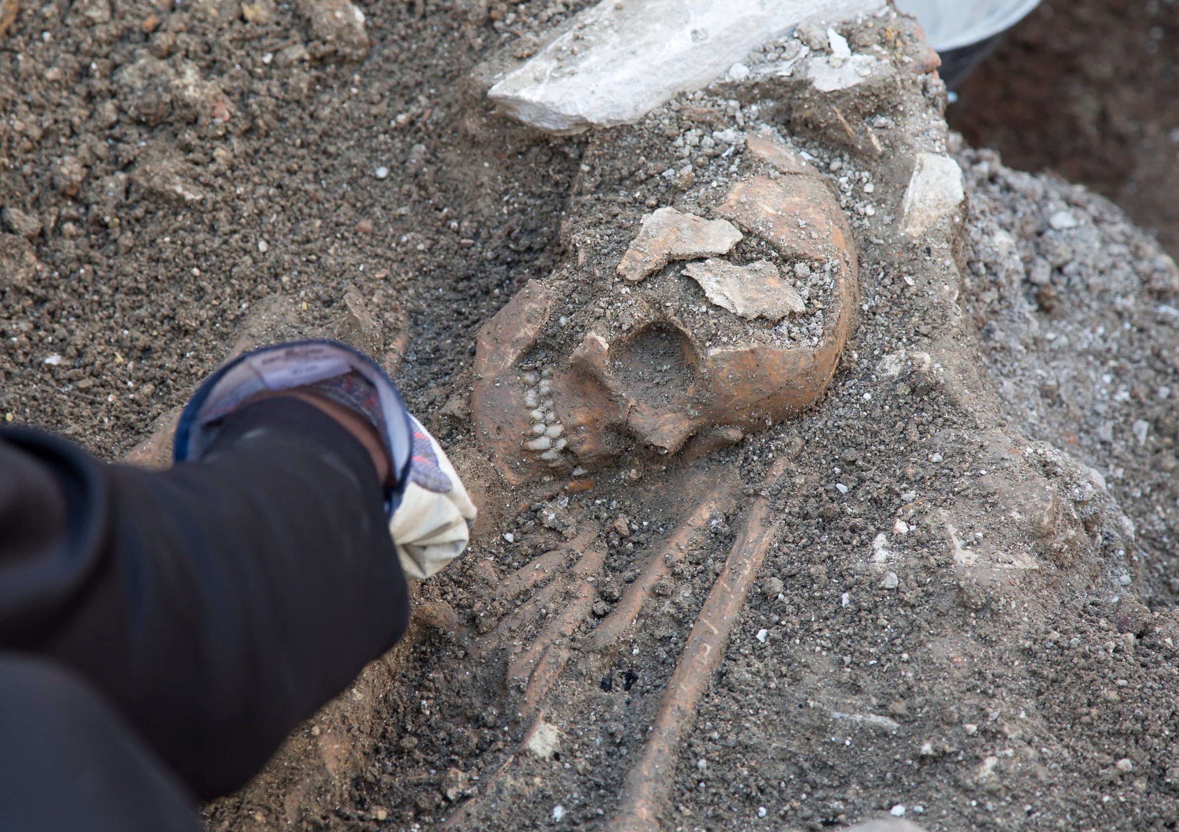 pjaca_kostur7-270319