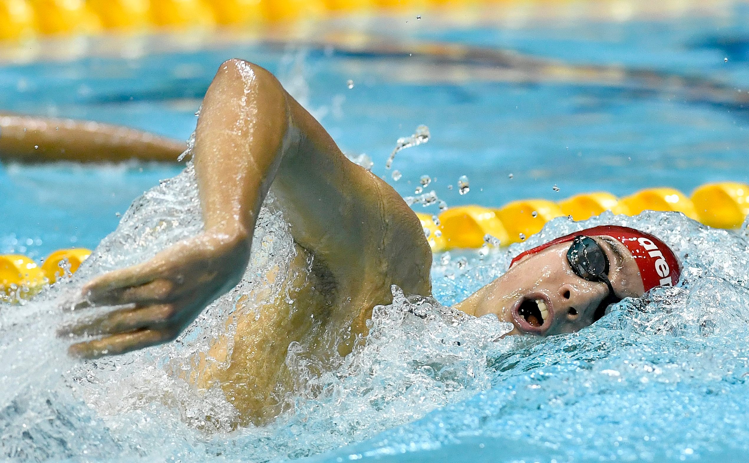 miting_plivanje25-101118