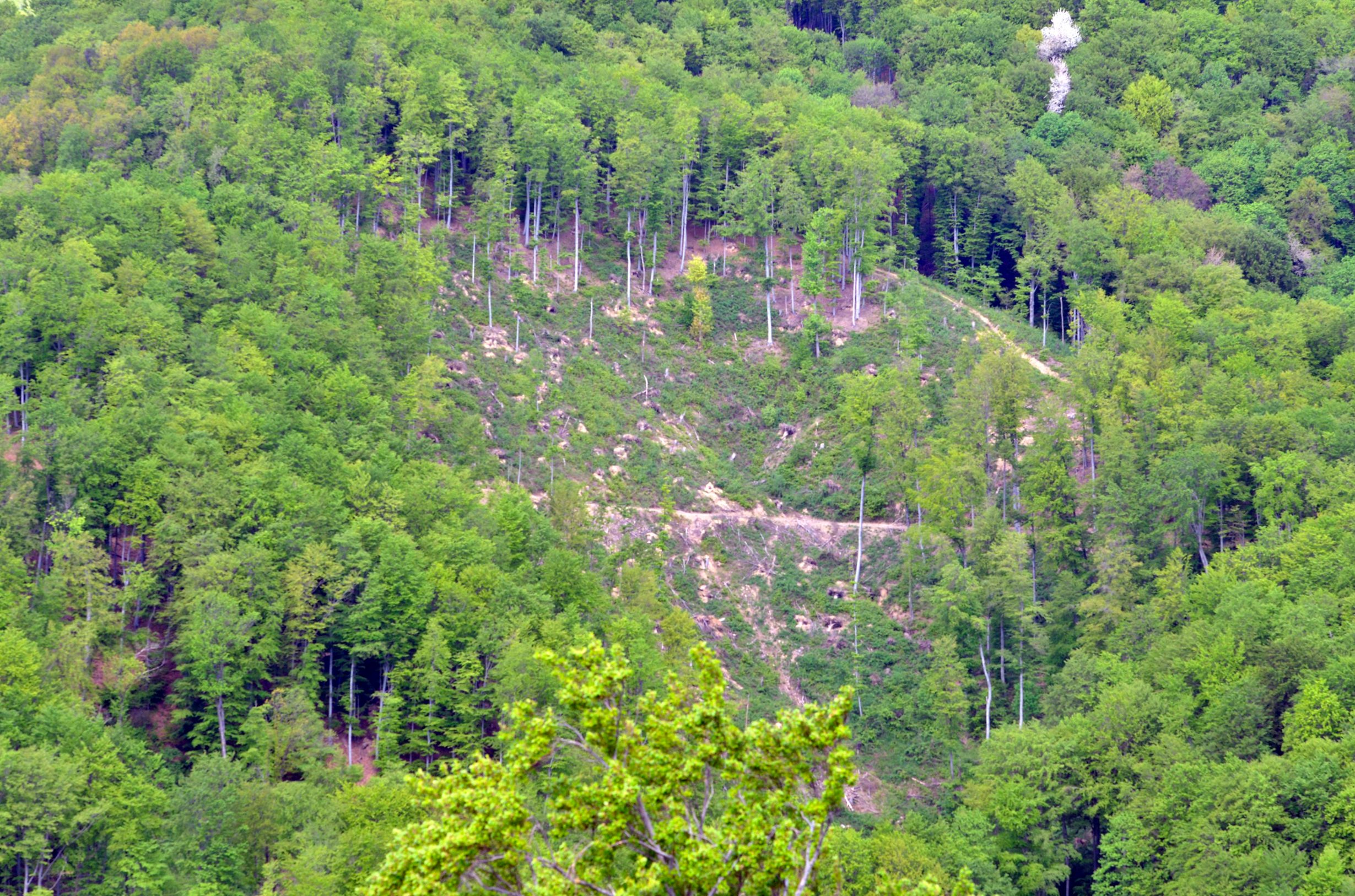 medvednica_devastacija14-230418