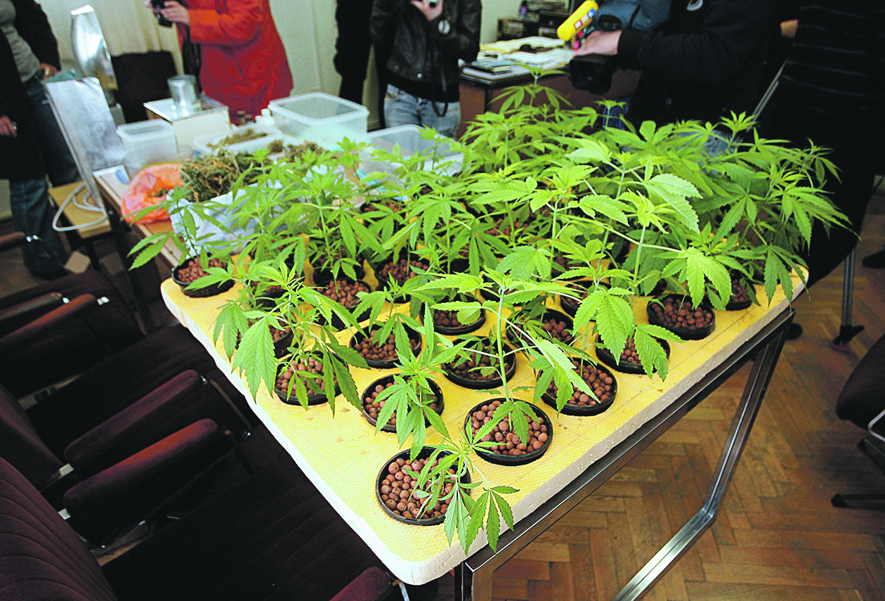 235330-302206-zapljena_trogir4-271010