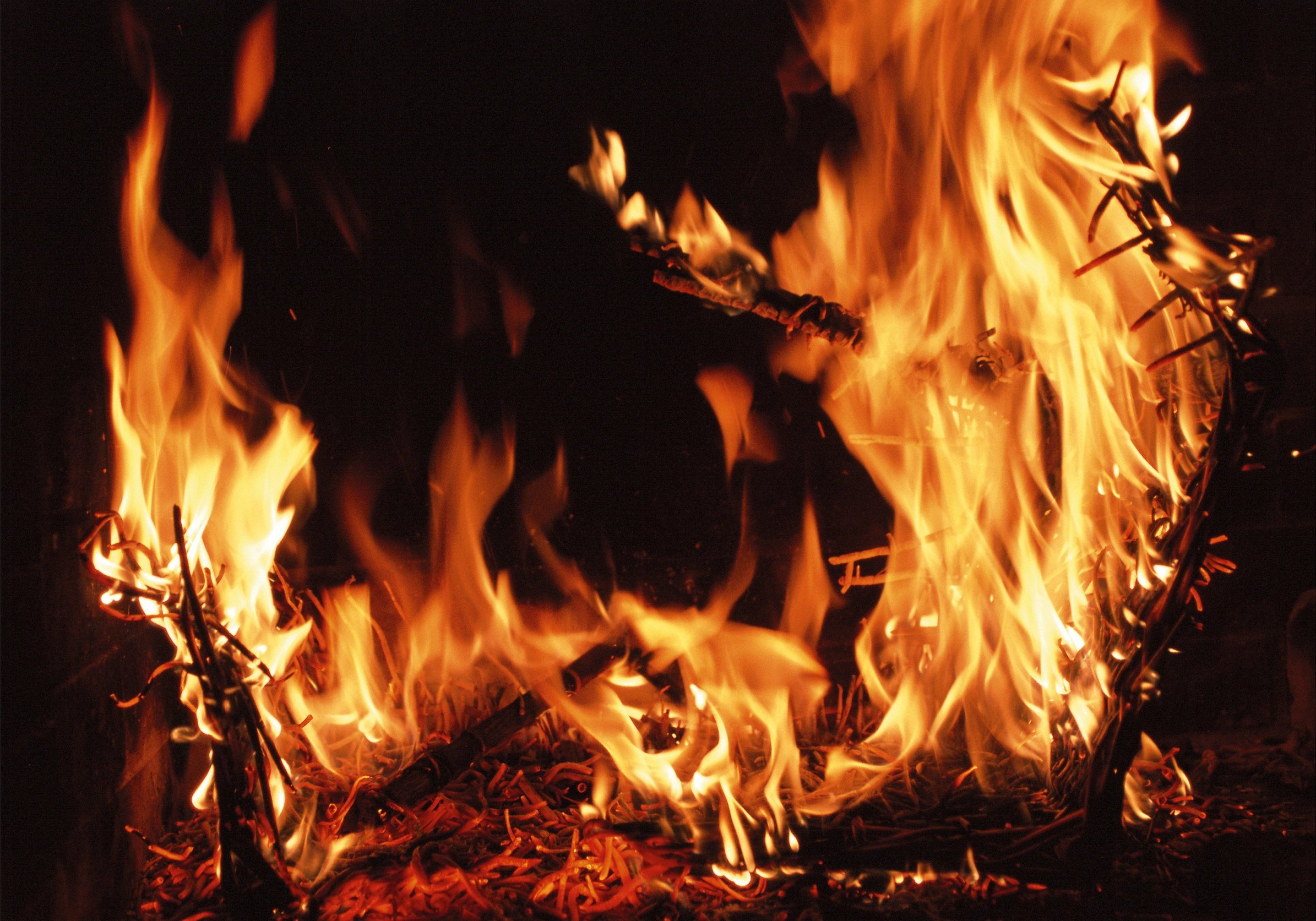 profimedia-0000629722