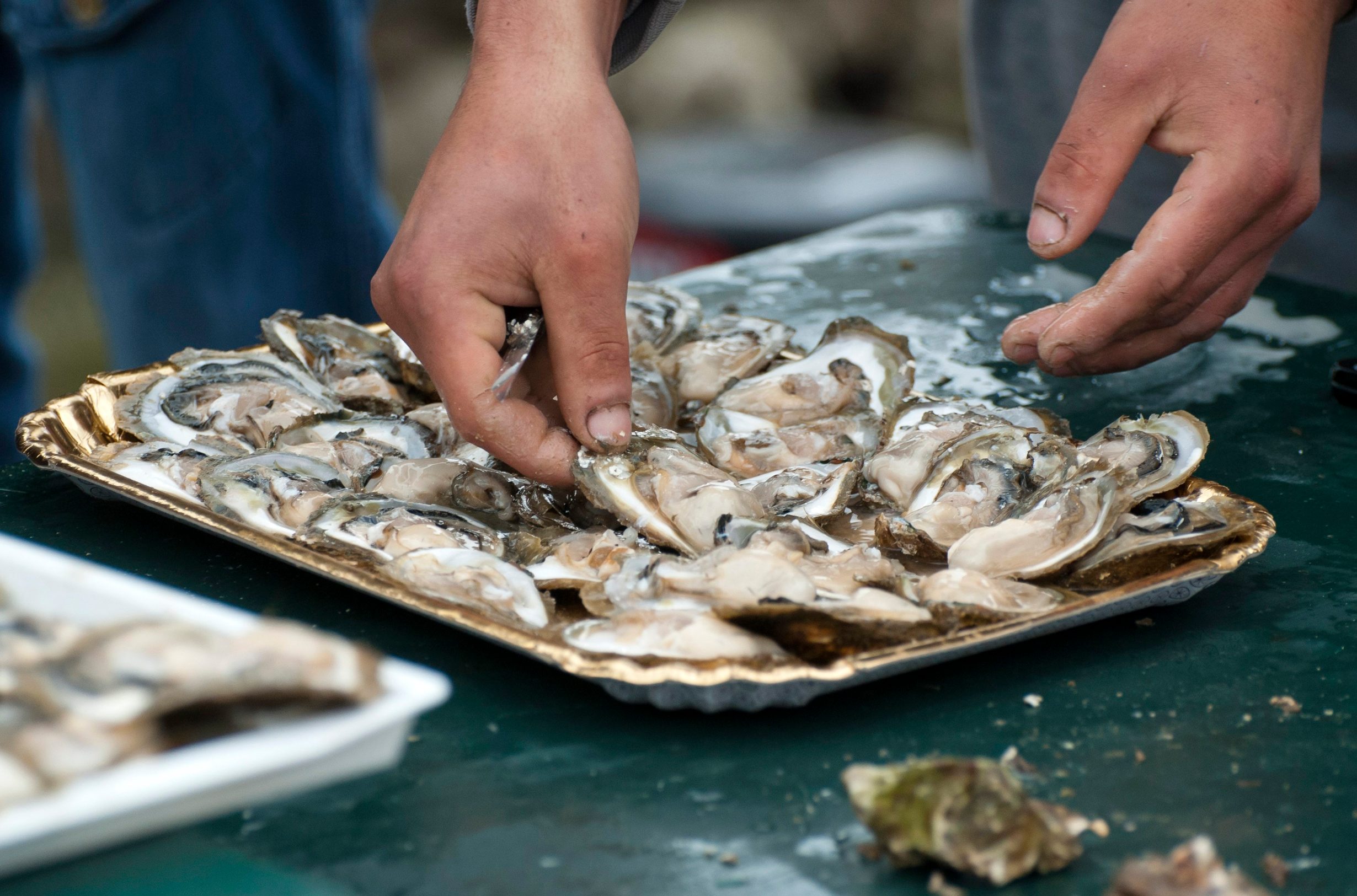 ston_kamenice3-230314