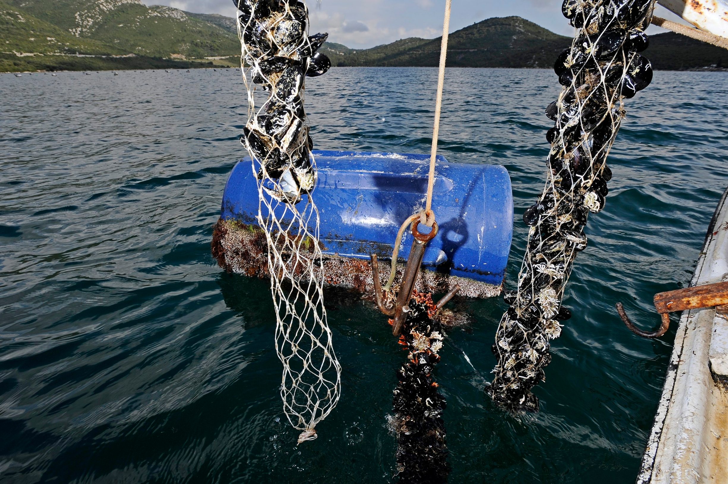 ston_skoljkarstvo7-081014