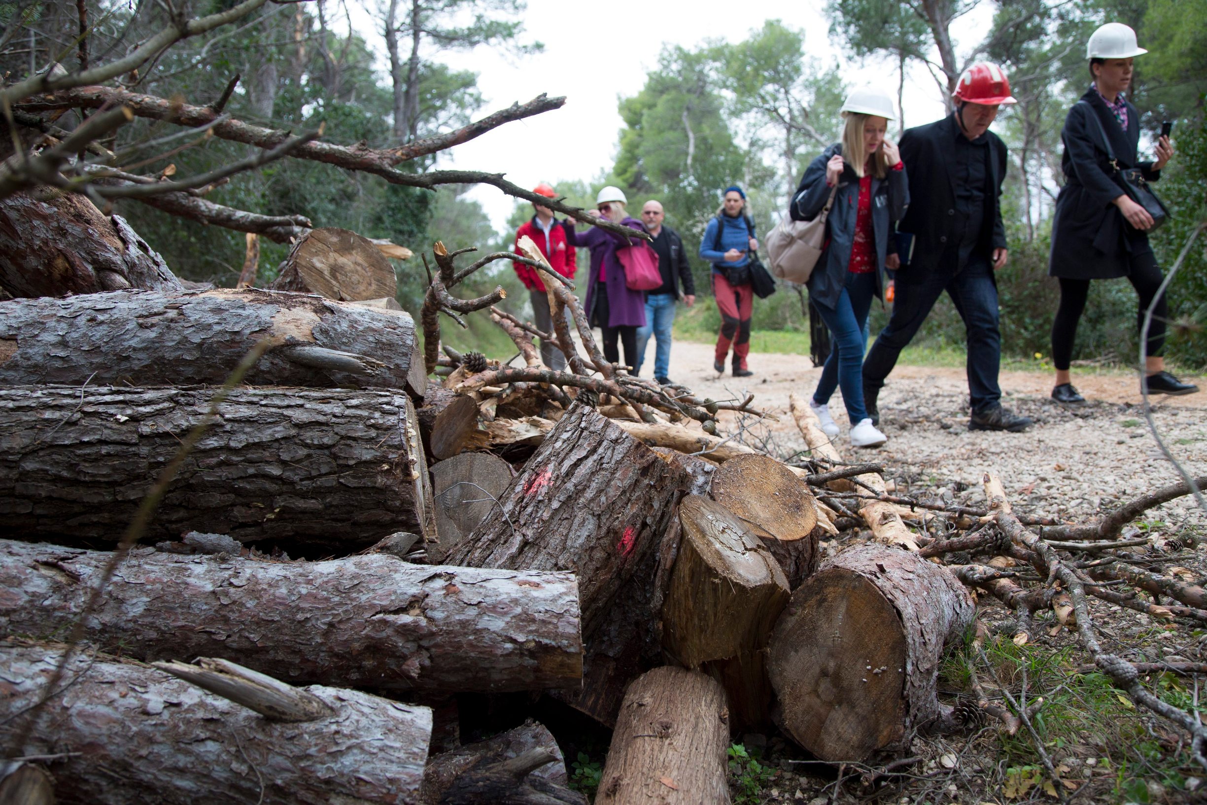 sjeca_marjan23-050319