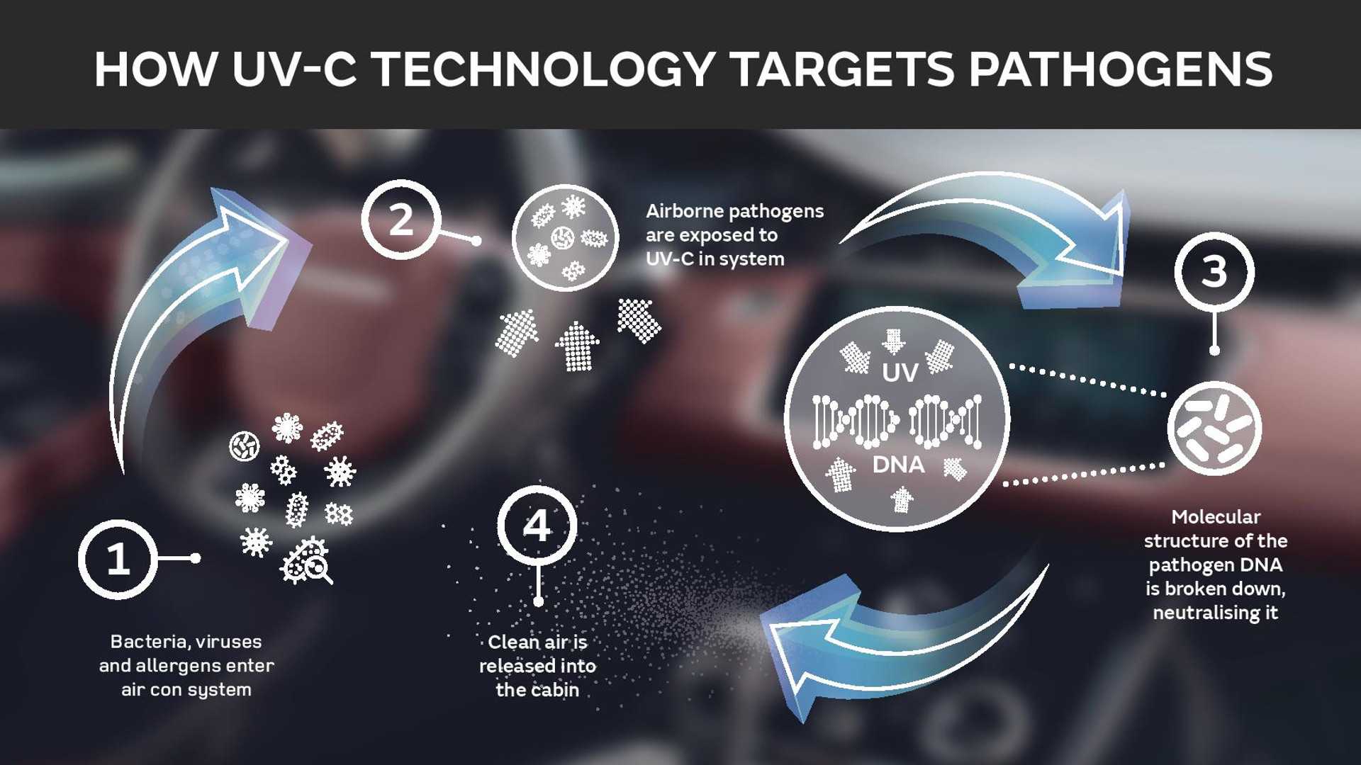 jlr-pathogens-infographic