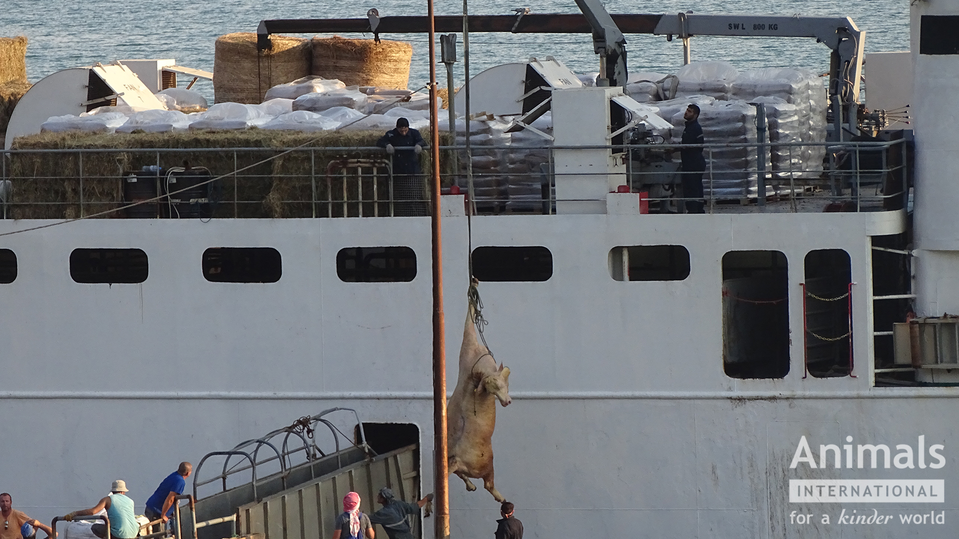 39806_2018_Port_of_Rasa_bull_cranedon_vessel_