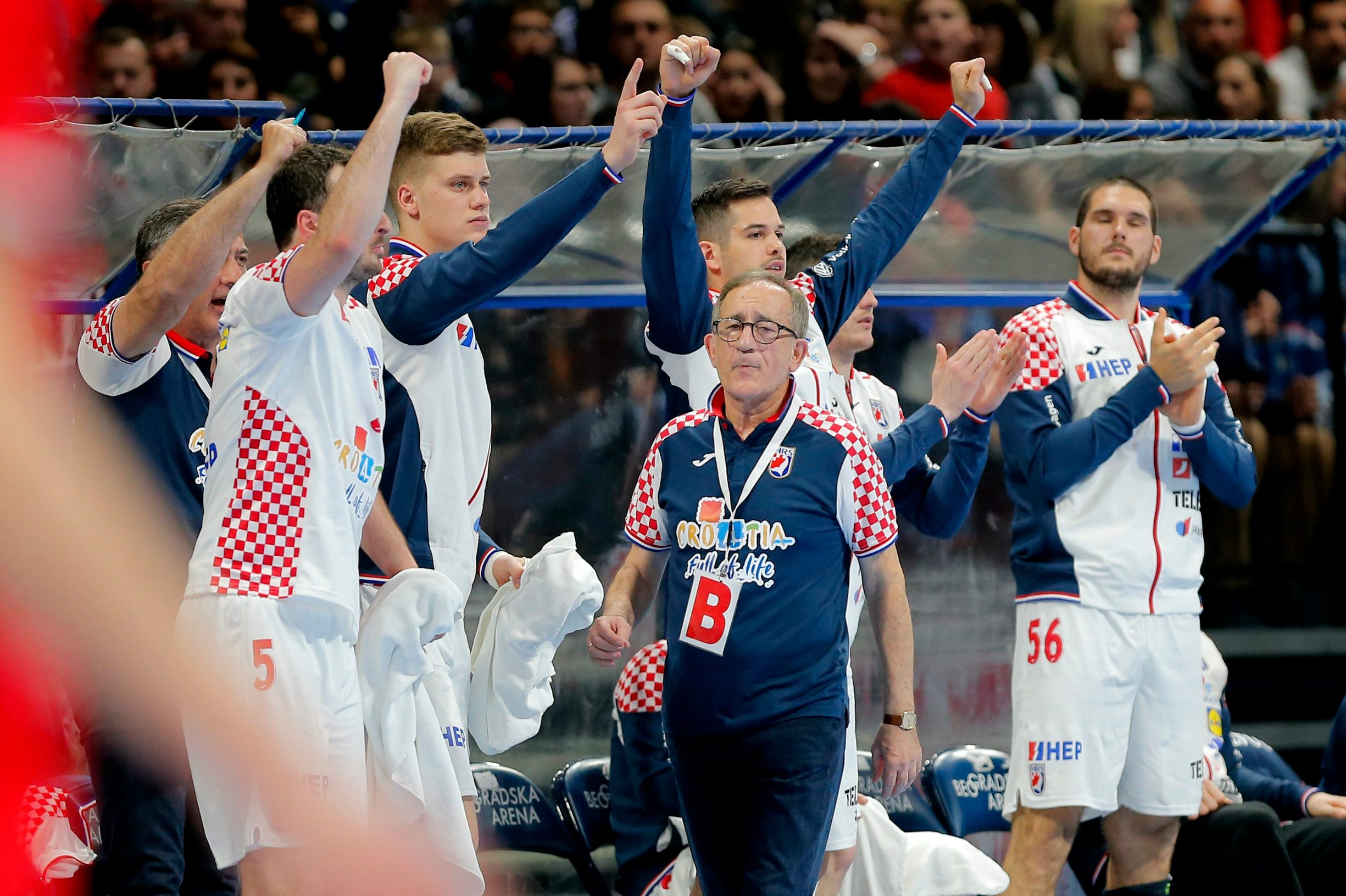 srbija_hrvatska34-110419